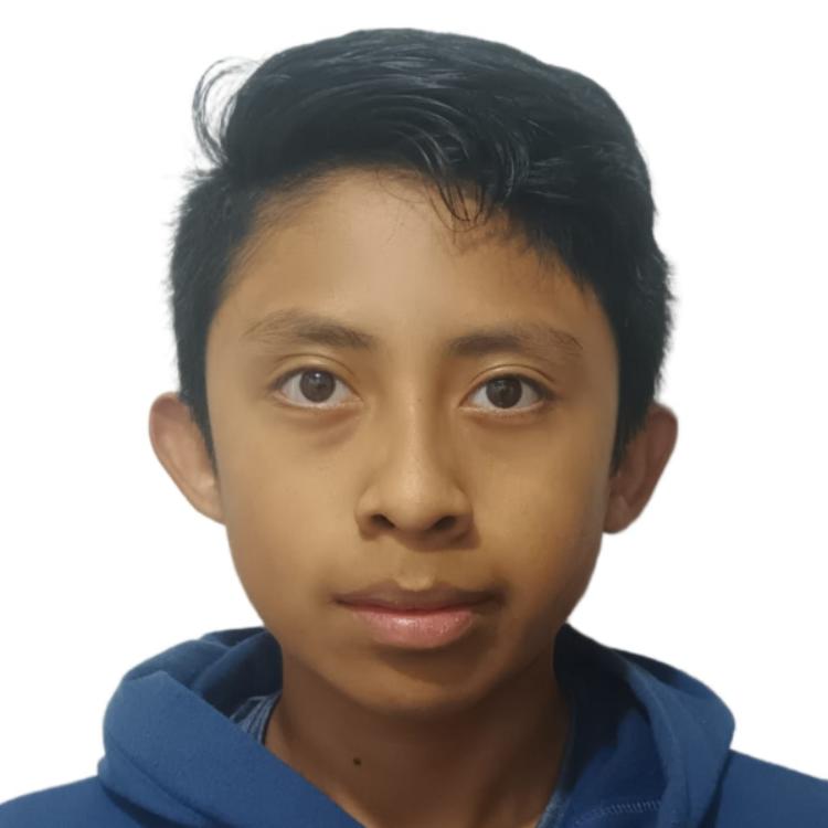 User Image