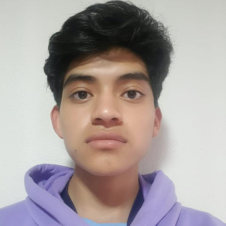 User Image