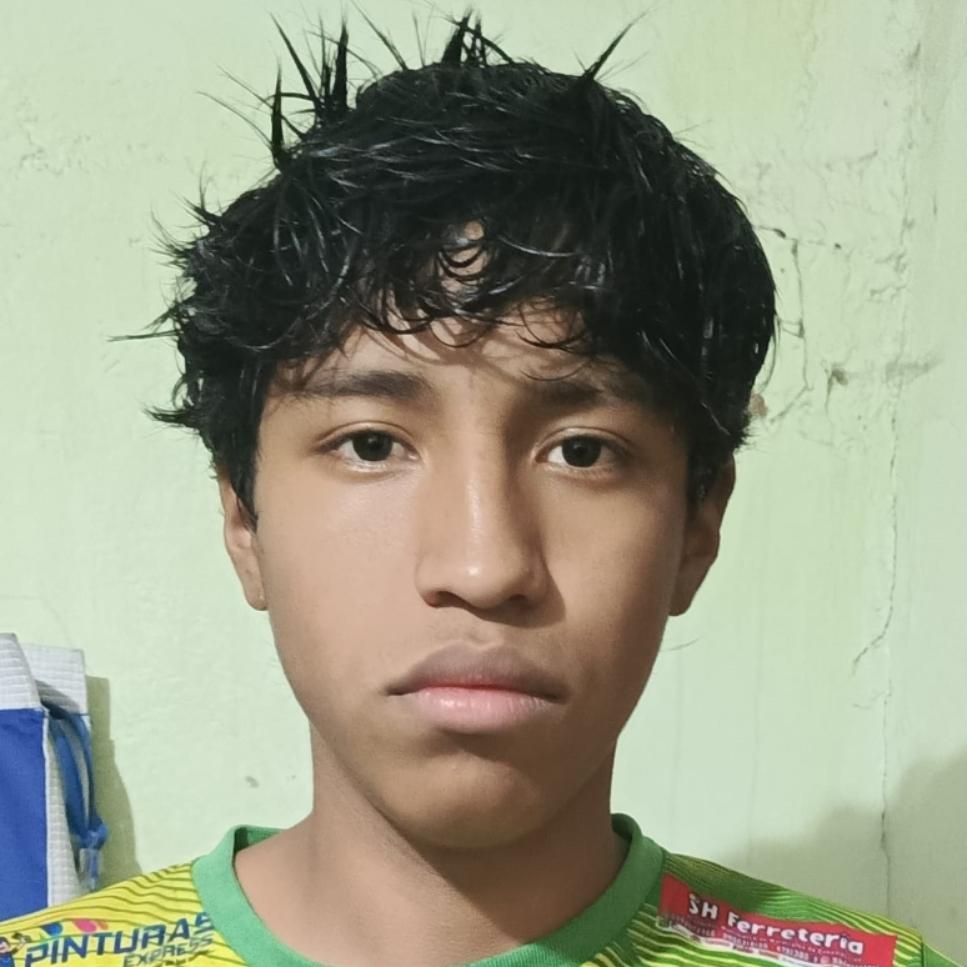 User Image