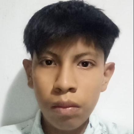 User Image